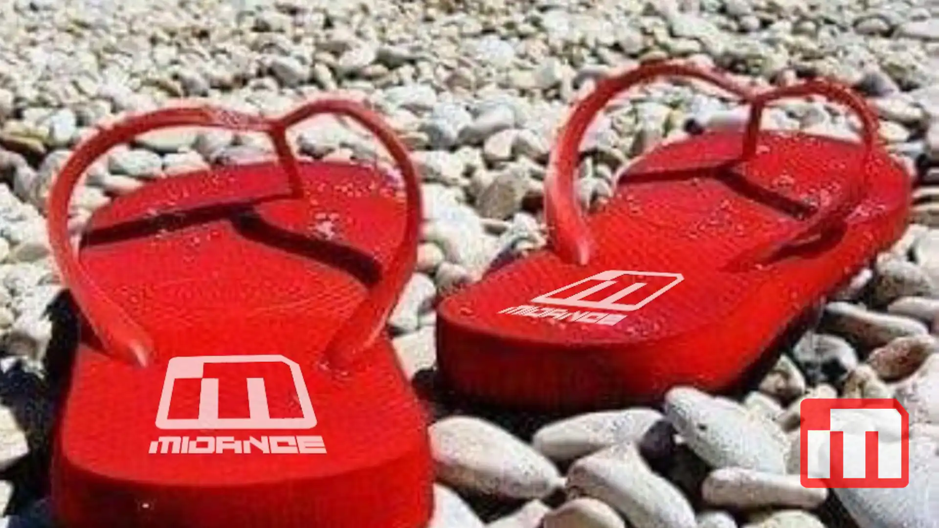 Midance & F.I.P.I. @ Tropea Summer Digital 2021: i prezzi, le info